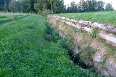 Rückbau harte Uferverbauung