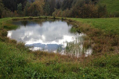 Himmelsteich Maria Alm