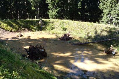 amphibientaugliche Retentionsbecken