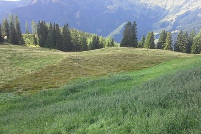 Speicherteich Bürglalm