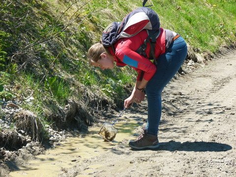 Konzentriert bei der Feldarbeit - Conny