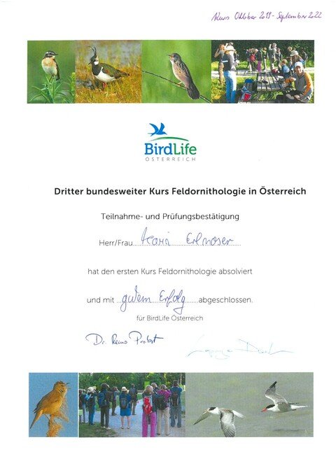 Feldornithologiekurs Karin Erlmnoser